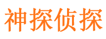 安居市私家侦探